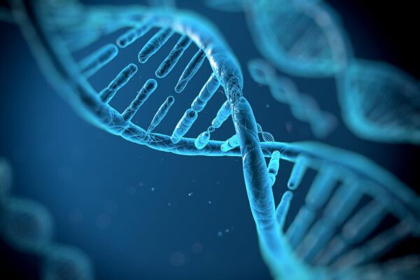 Hélices de DNA